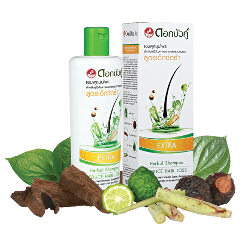 Kräutershampoo gegen starken Haarausfall 300ml